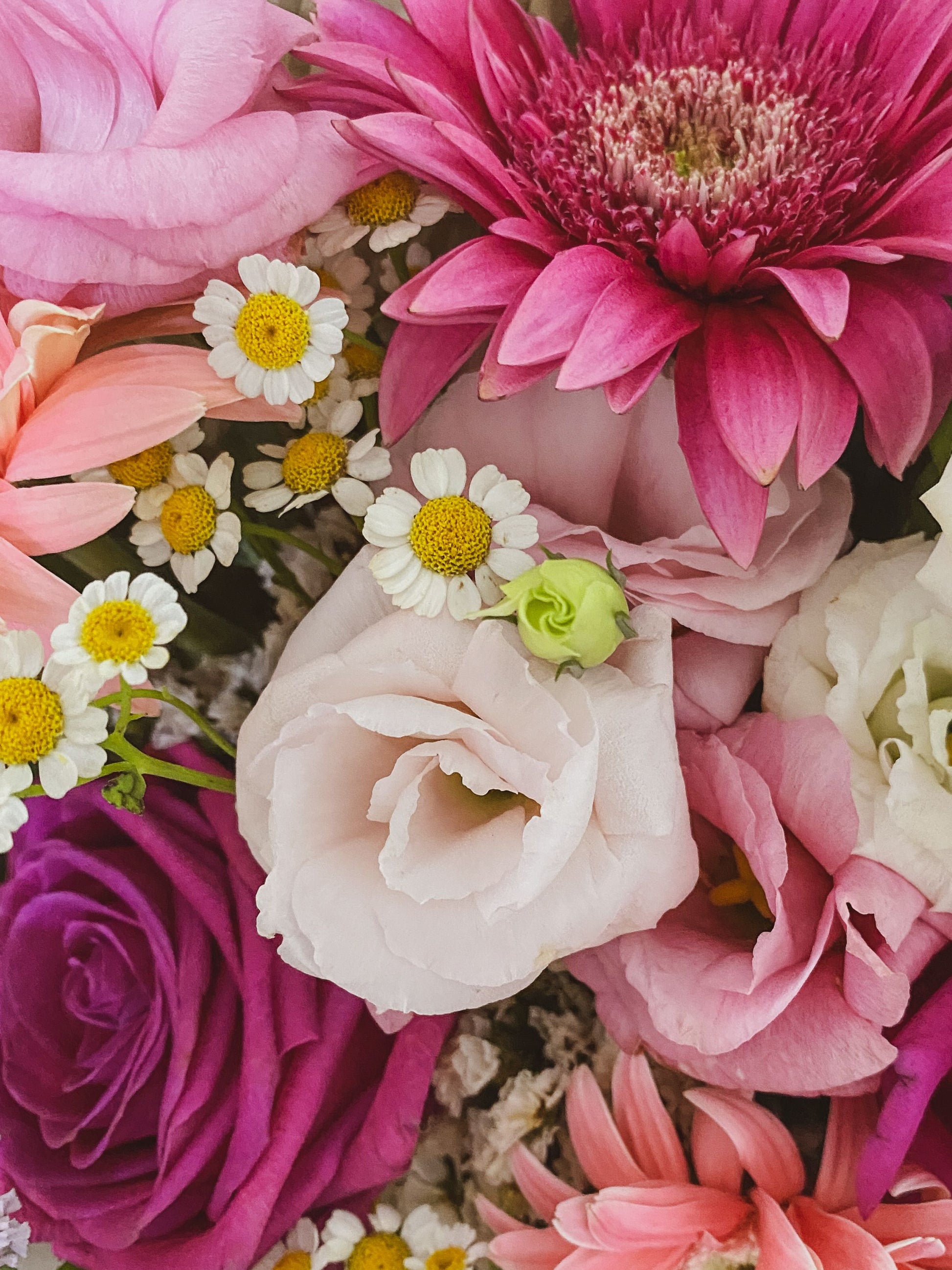 Colourful mixed flower bouquet with roses, daisies and gerberas — Designer's Choice by Local Flower Girl